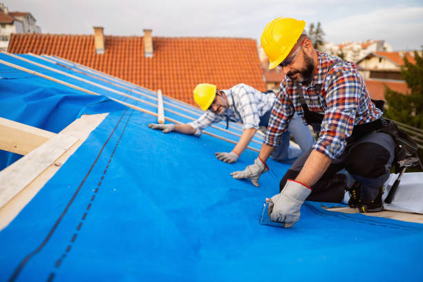 Best Roof Repair  in Rockford, MI